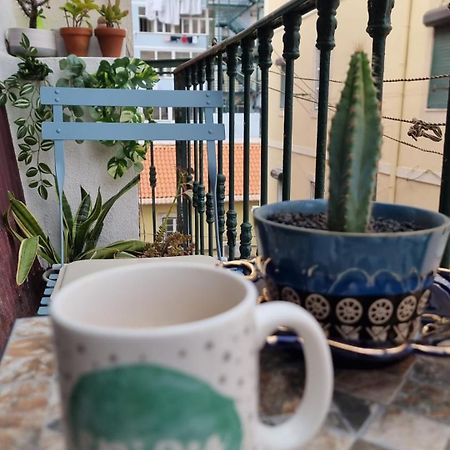 Charming Central Apartment To Rent Lisboa المظهر الخارجي الصورة