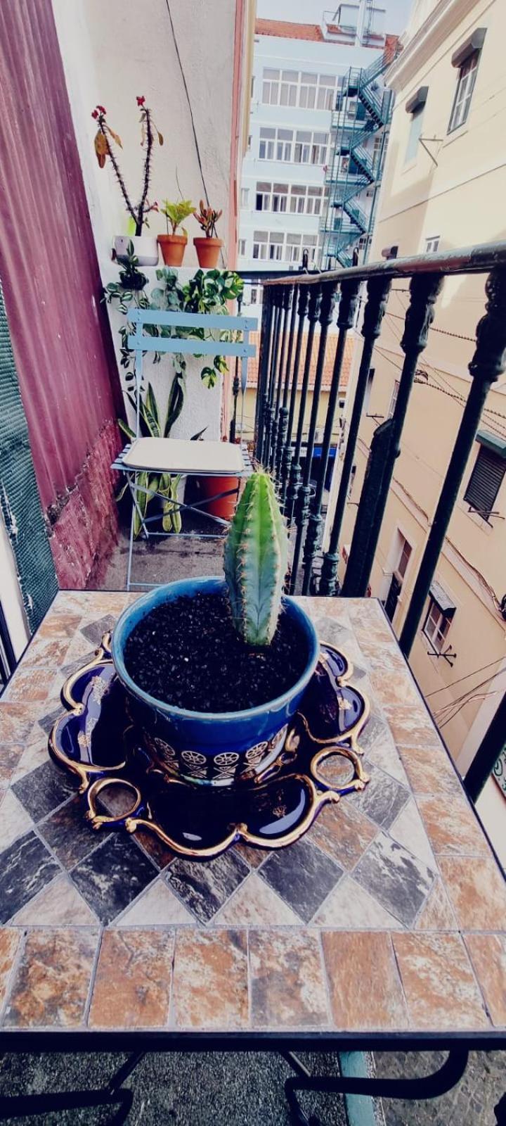 Charming Central Apartment To Rent Lisboa المظهر الخارجي الصورة