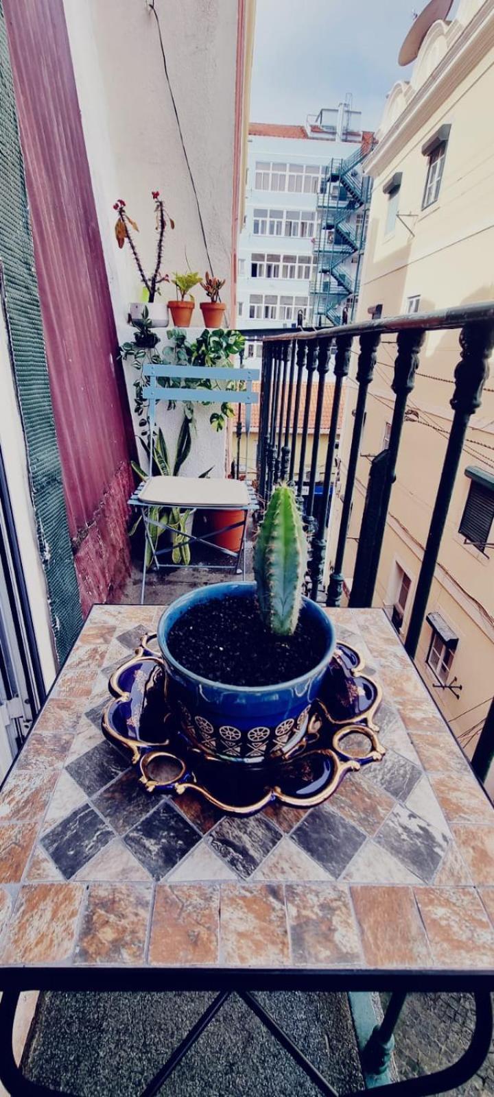 Charming Central Apartment To Rent Lisboa المظهر الخارجي الصورة